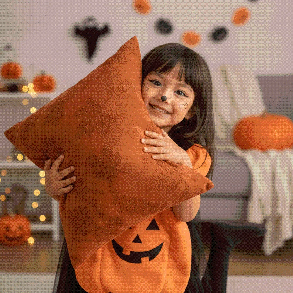 Soft Plush Pillow Case Cute Embroidery Warm Texture Cushion Cover Hidden Zipper Fluffy Fabric Throw Pillows Shell Couch Pillow