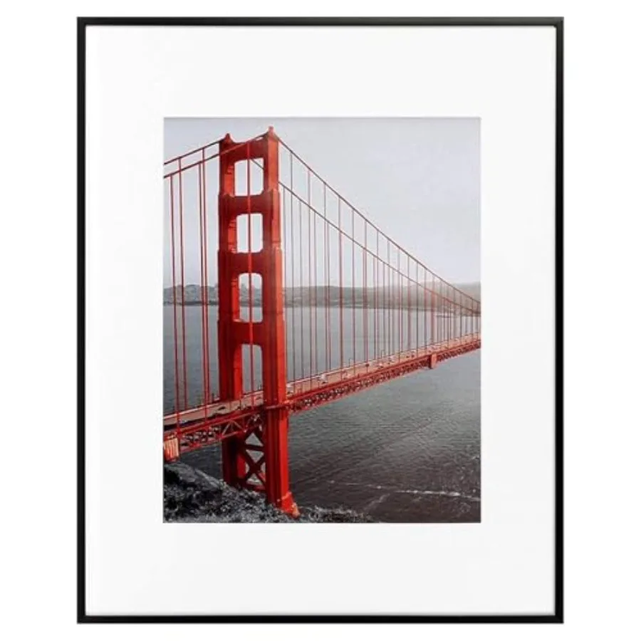

Aluminum Picture - 11 x 14 with Removable Mat 8 x 10 Photo - 14 by 11 Durable Metal with Real Glass - Sawtooth Hanger Easy Wall