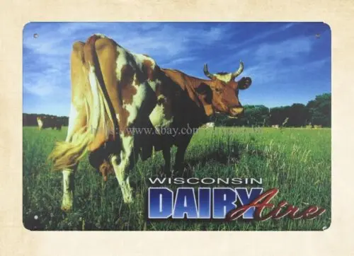 Wisconsin dairy cow grass metal tin sign home decor ideas sign