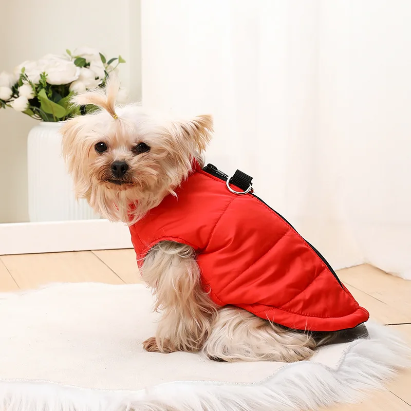 ملابس الحيوانات الأليفة لخريف وشتاء، ملابس سميكة للكلاب، سترة قطنية دافئة، سترة بلون سادة، سترة مقاومة للماء والرياح