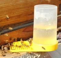 Bee feeder, nest door, automatic feeding, bee tools, sugar bees, water dispenser, feeding trough