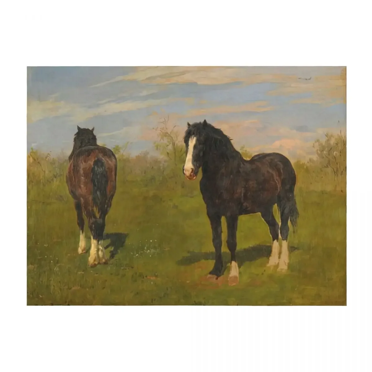 

Одеяло Rosa Bonheur, плюшевый флярный спальный мешок для дивана, одеяла