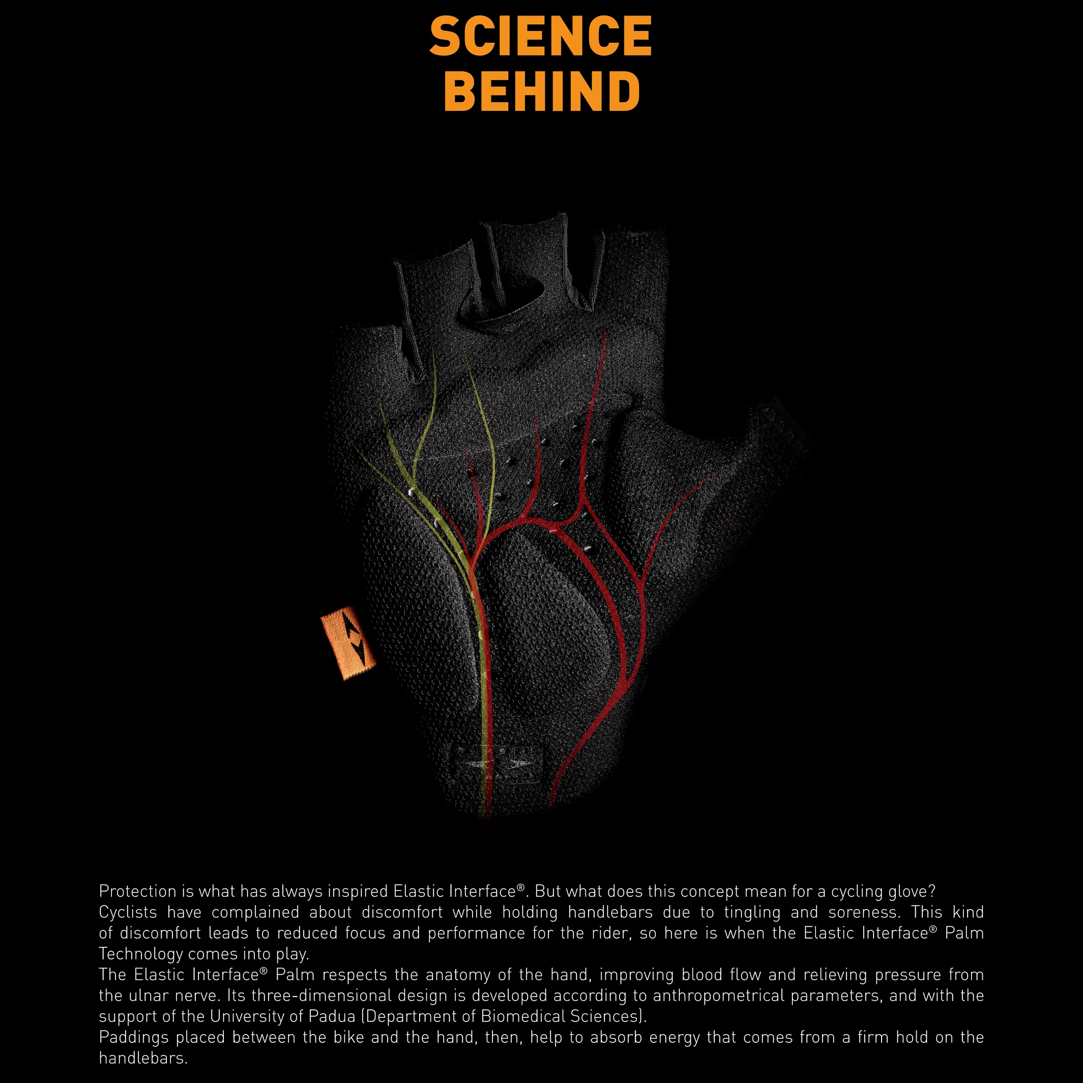 DAREVIE Herren-Fahrradhandschuhe Aero Reduzieren den Widerstand Schnell Trocknende Fahrradhandschuhe Weiche Leichte Sport- und Fitness-Trainingshandschuhe – Detail 11