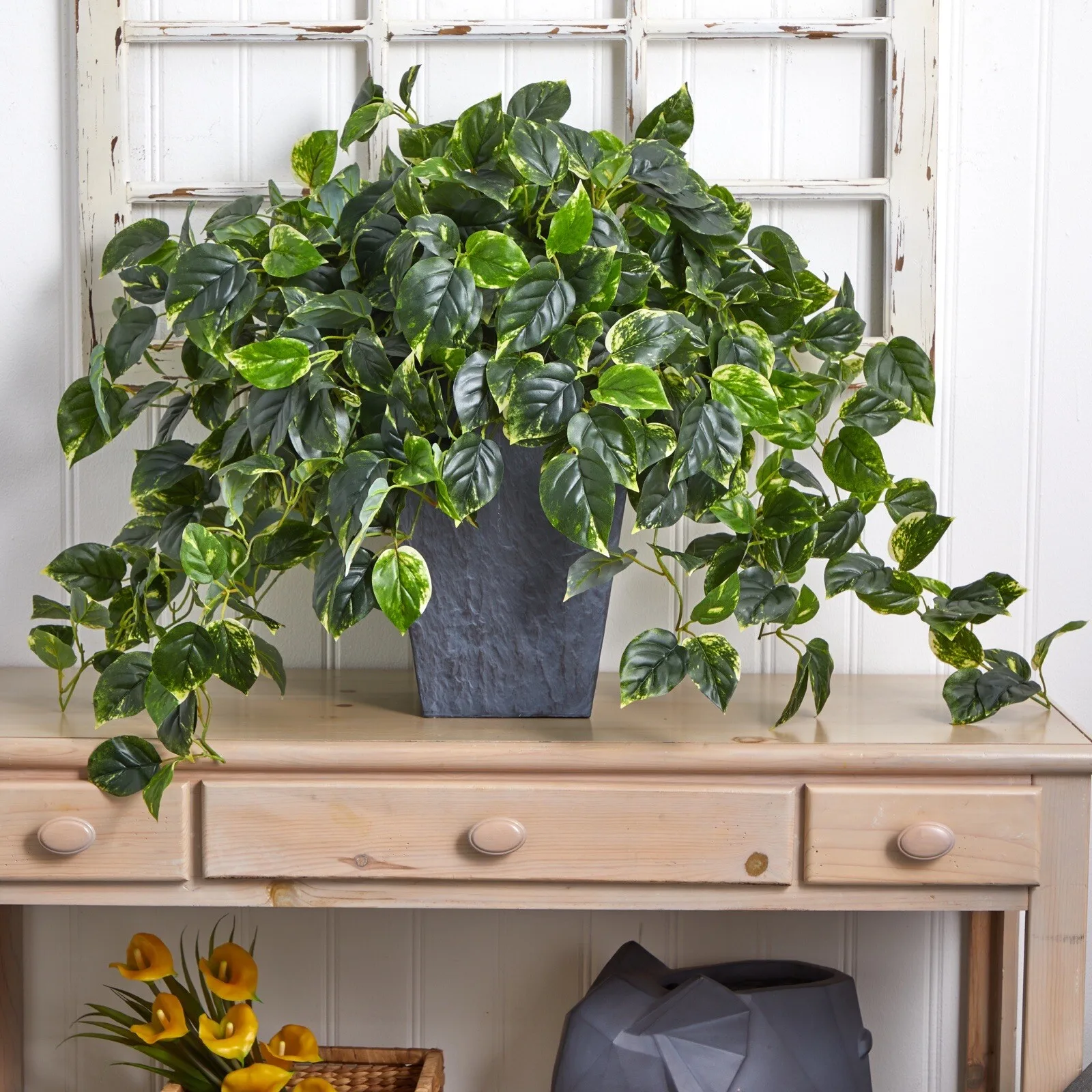 29” Hanging Pothos … - image