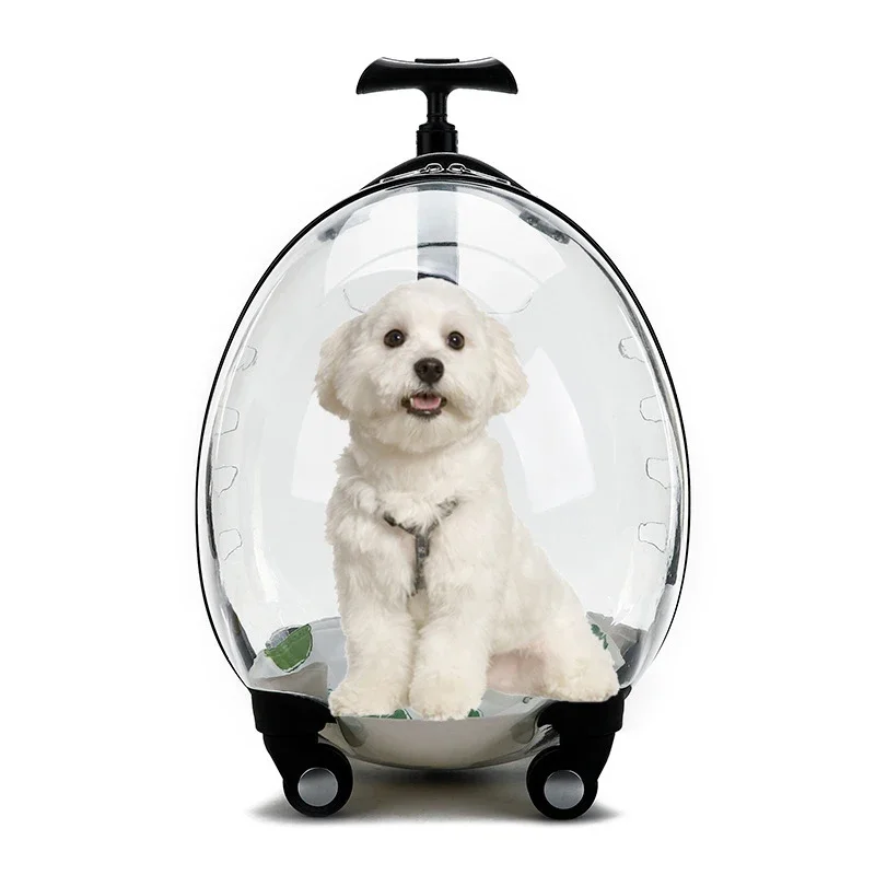 Creative Eggshell Pet Trolley Case Transparent Cat and Dog Suitcase Large Capacity Dog Backpack for Going Out