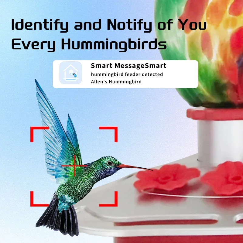 

APP Controlled Smart Water Fountain - Automatic Pet Drinker & Hummingbird Feeder, Indoor/Outdoor Use (CE/FCC)