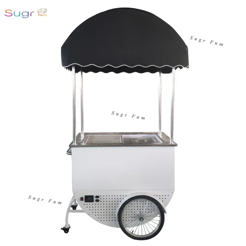 Commercial Display Cooler Ice Cream Gelato Cart with Umbrella Mobile Hand Push Vending Cart for Sale