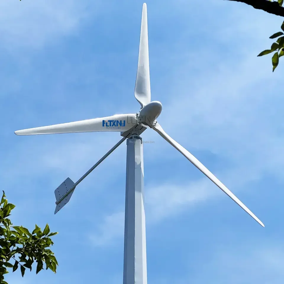 

Wind Power System Small Wind Turbine Alternative Energy Generator 3000w 48v horizontal wind turbine for home use