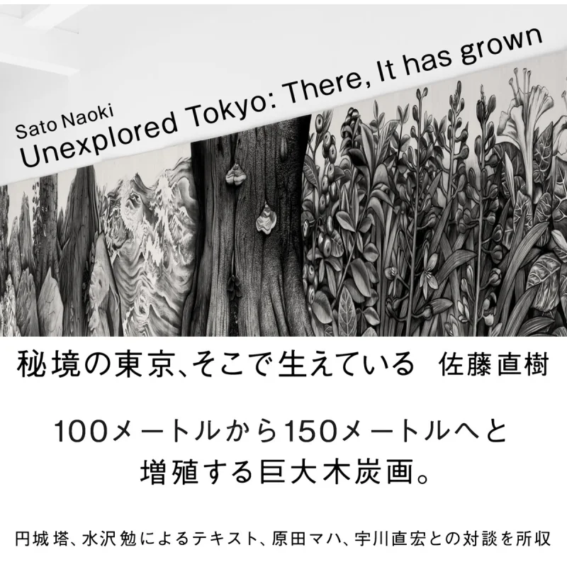 

It Grows In Hidden Tokyo Naoki Sato Tokyo Kirara 9784903883243 Book