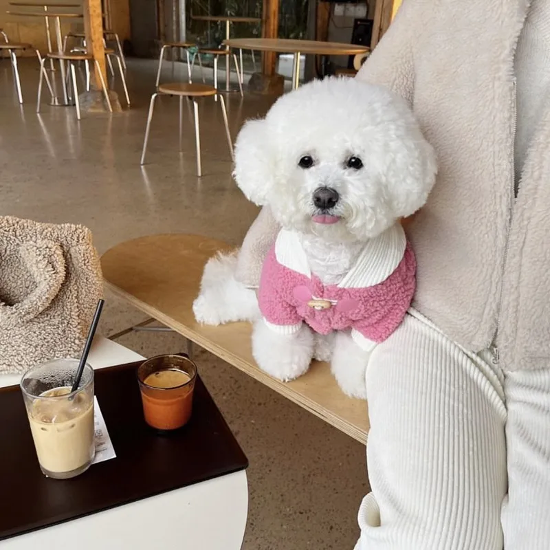 Thickened Dog Clothes Pet Warm Sweatshirt Winter Dog Clothes Teddy Popular Hoodie Small Dog Patchwork Colour Cotton Coat