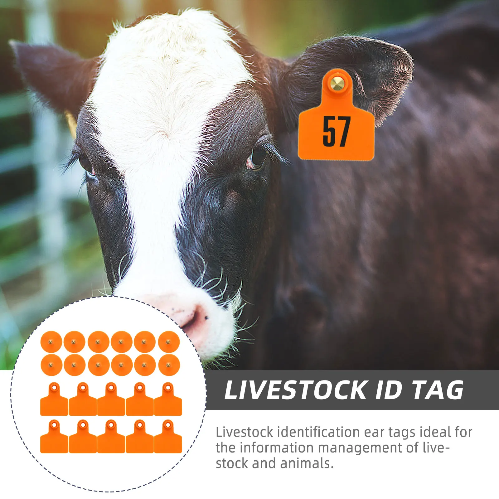 

100 Pcs Ear Tags Plastic Livestock Animal Cattle TPU Blank Number Supplies Farm Livestock Ear Tags Tools