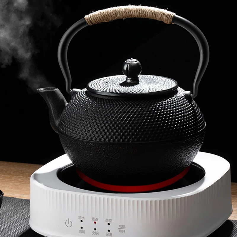 GIANXI Iron Tea Pot with Stainless Steel Infuser Cast Japanese Iron Teapot Oolong Tea Kung Fu Tea Puer Tea Tea Kettle