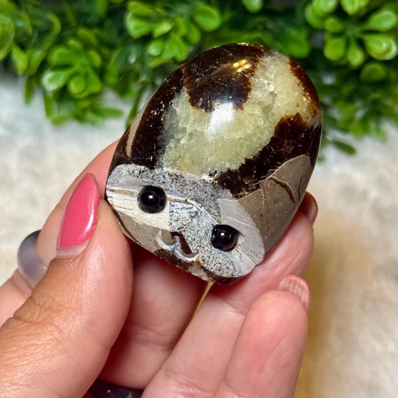 Septarian Dragon Stone | Septarian Dragon Stone Carving | Septarian Dragon Stone | Septarian Dragon Crystal