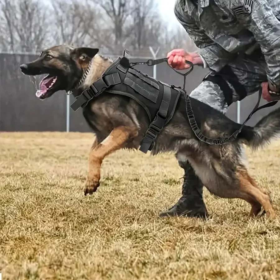 Outdoor Dog Vest Puppy Harness Tactical Training Dog Coat Medium Large Dogs Vests Chest Strap Bungee Leash Lead Training Running