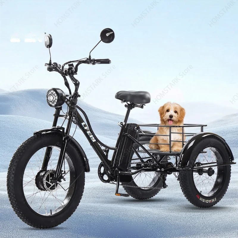 Outdoor Mobility Vehicle 24 Inch Fat Tire Electric Tricycle Pedal Assist Wide Tyre Trike For Adult Daily Outdoor Travel In Stock