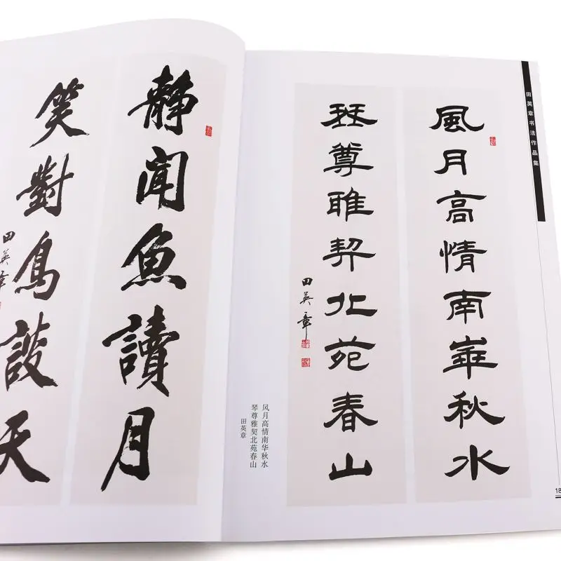 Tian Yingzhang Brush Pen Calligraphy Work Collection Regular Running Script Works Copying Book Ou Style Calligraphy Copybook
