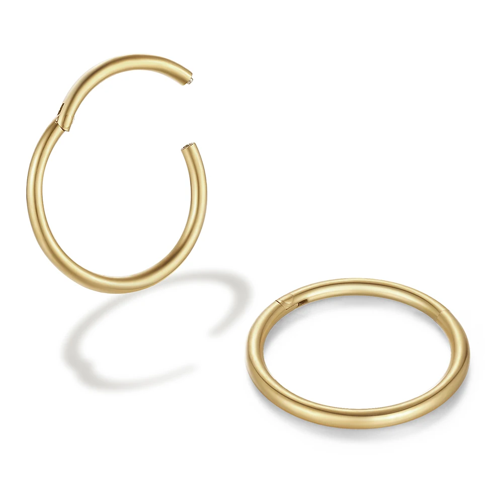 2/6PCS Naadloze 316L Rvs Klassieke Neusring voor Mannen Vrouwen Hoepel Oorbellen Septum Helix Tragus oor Piercing Sieraden 18G