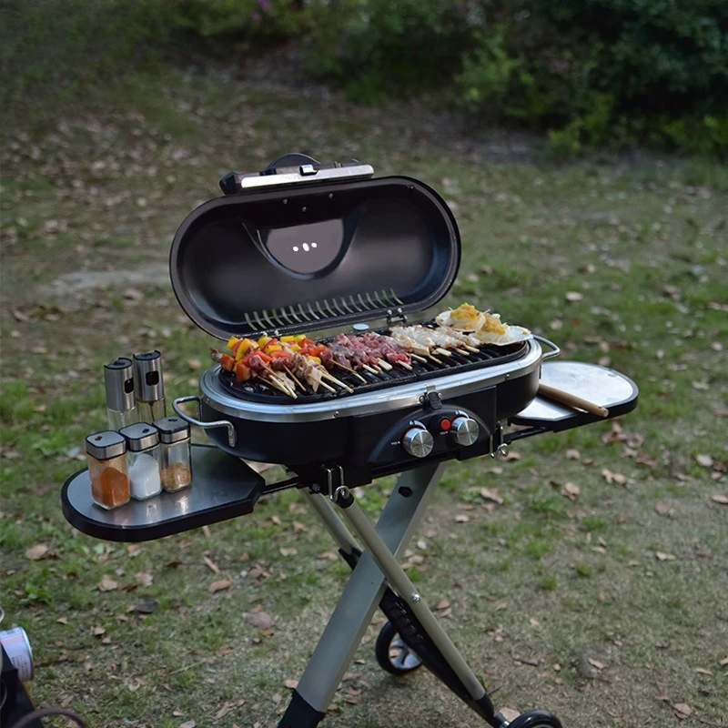 

Outdoor Portable Double Head Gas Grill Camping Yard Grill