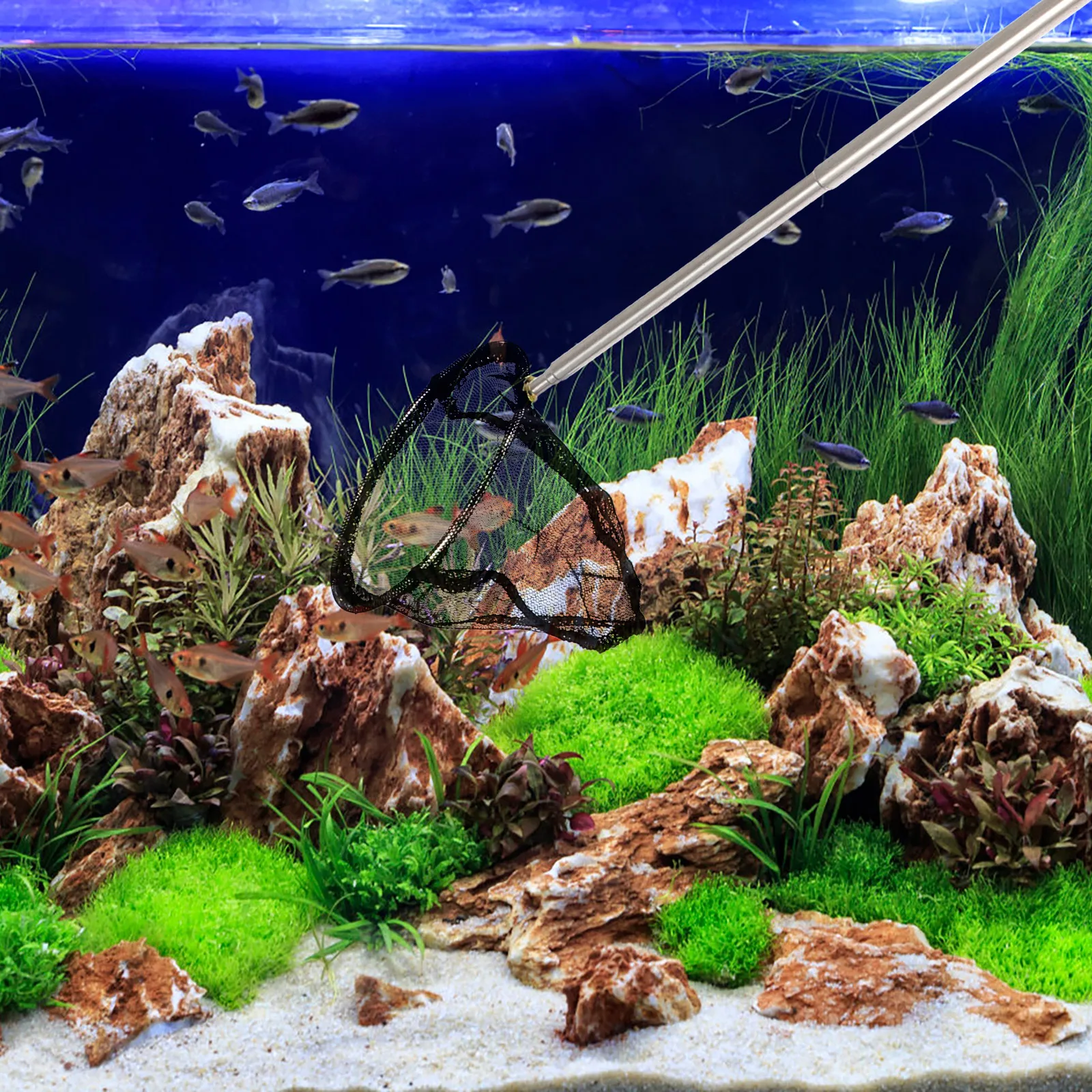 

Telescopic Shrimp Net Compact Quick Folding Fish Landing Net Portable Long Pole Fine Mesh Catch Release Friendly Aquarium Crab