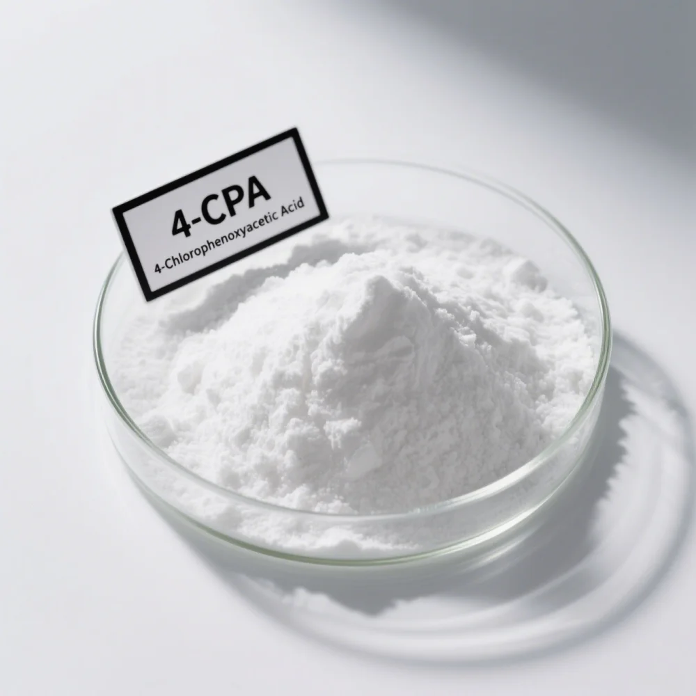 LOLO Wholesale Price 4-CPA /2-(4-Chlorophenoxy)Acetic Acid / 4-Chlorophenoxyacetic Acid