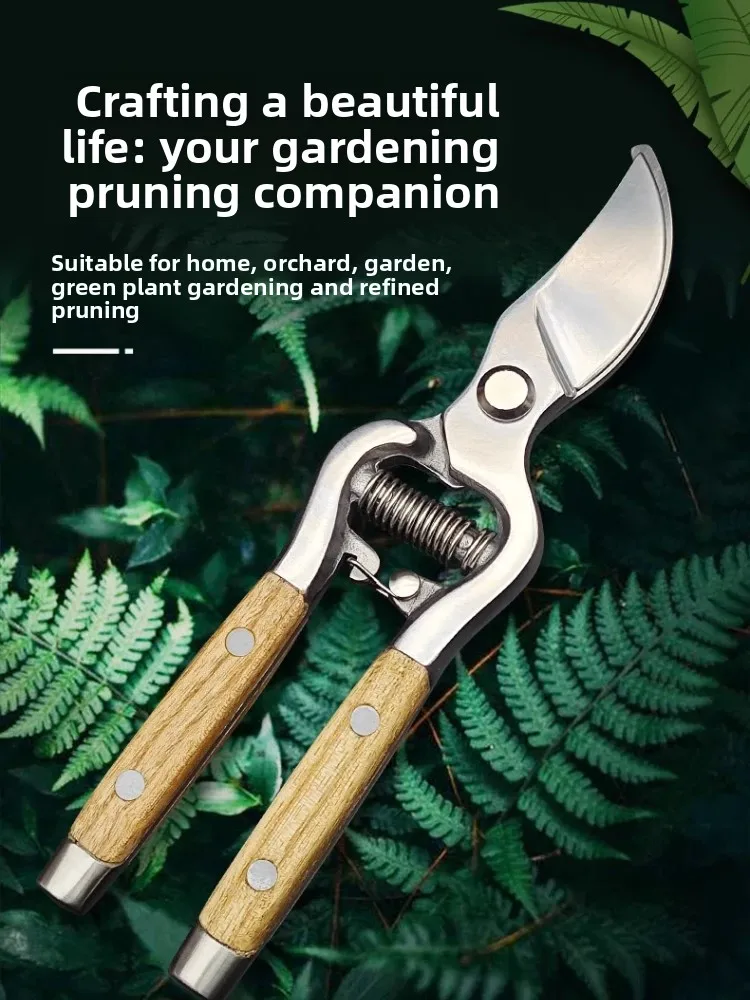 

Stainless Steel Branch Pruning Shears for Picking Fruits, Flowers and Trees, Garden Fruit Tree Shears
