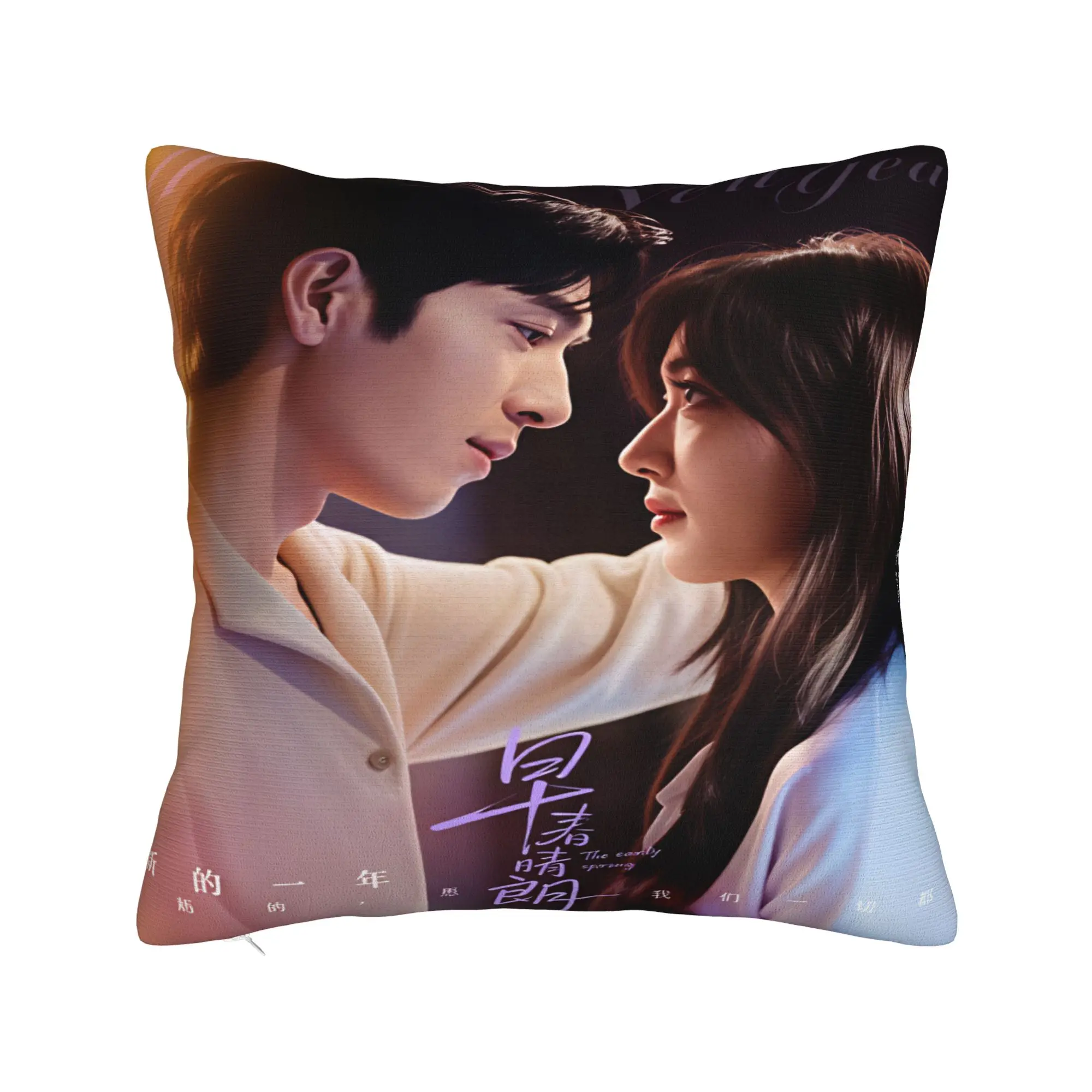 The Early Spring Pillowcases C Drama Morden Pillow Case For Living Room Sofa Comfy Pillow Cover