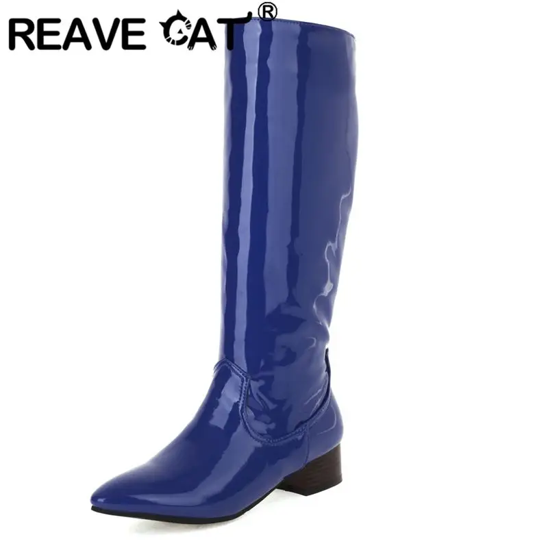 REAVE القط عادية 2026 الفاخرة لامعة النساء حذاء برقبة للركبة أشار تو 3.5 سنتيمتر منتصف الكعب الانزلاق على مثير يؤرخ بوتا حجم كبير 41 42 43