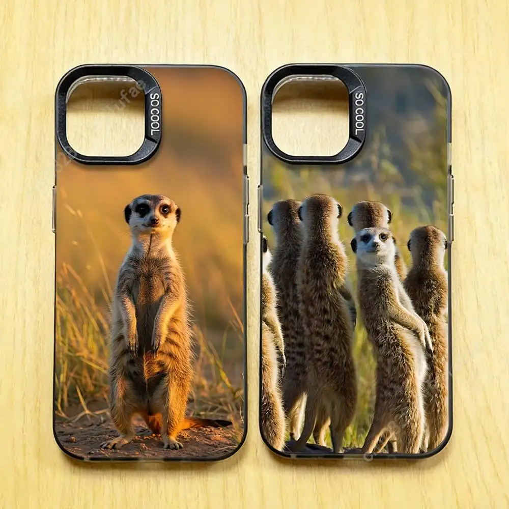

Funny Standing Meerkats Phone Case for iPhone 17 16 15 Pro Plus 14 13 Max Mini 12 11 X XS Air TPU Bumper