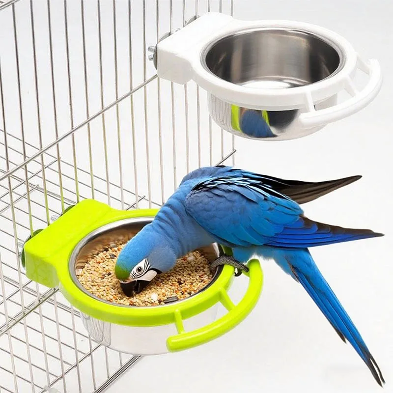 #61 Best Bird Feeders to Buy In 2026