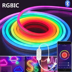 DC5V RGBIC Neon LED Strip Lights Neon Rope Light con Music Sync DIY RGBIC Dreamcolor Chasing Strip Tape per l'illuminazione della decorazione domestica