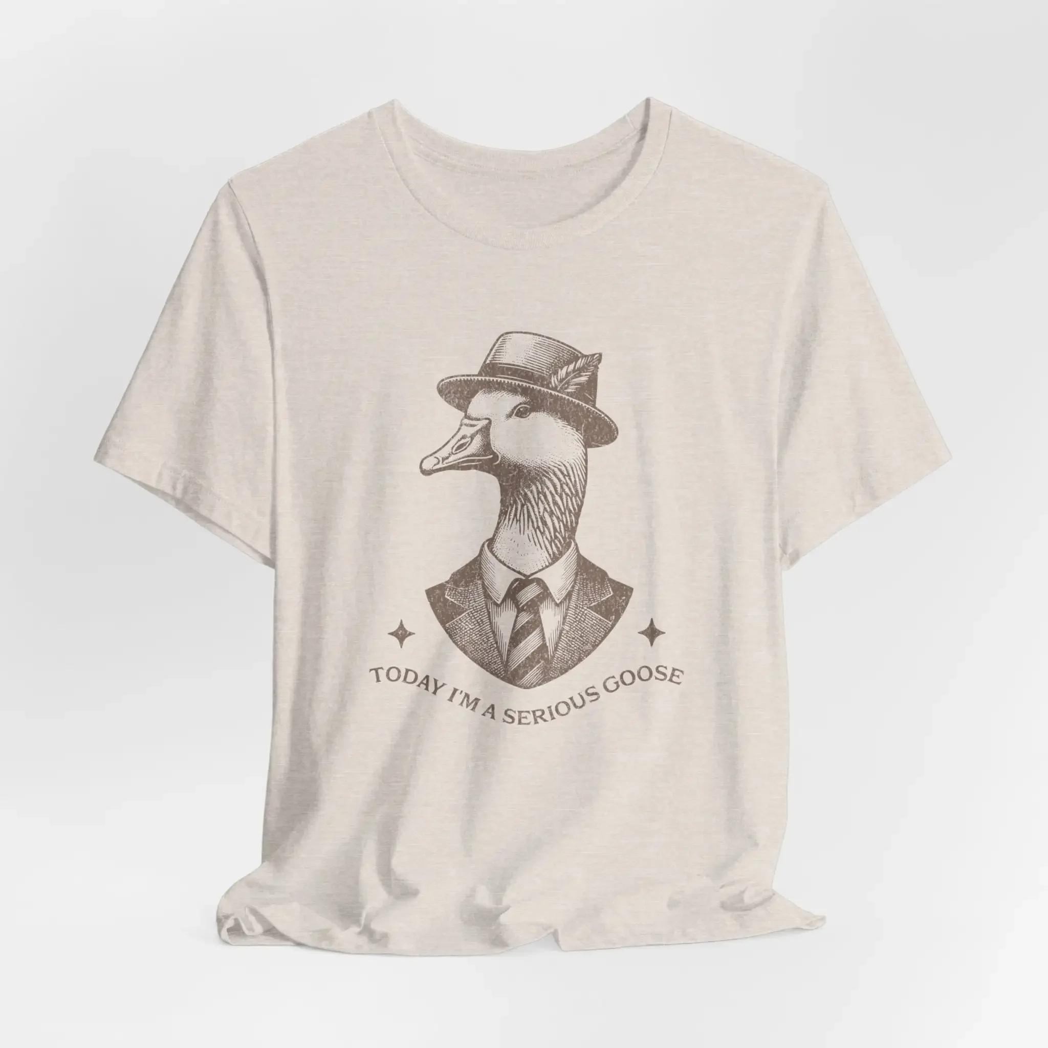 Today I m A Serious Goose Retro T Shirt Silly Funny Ironic