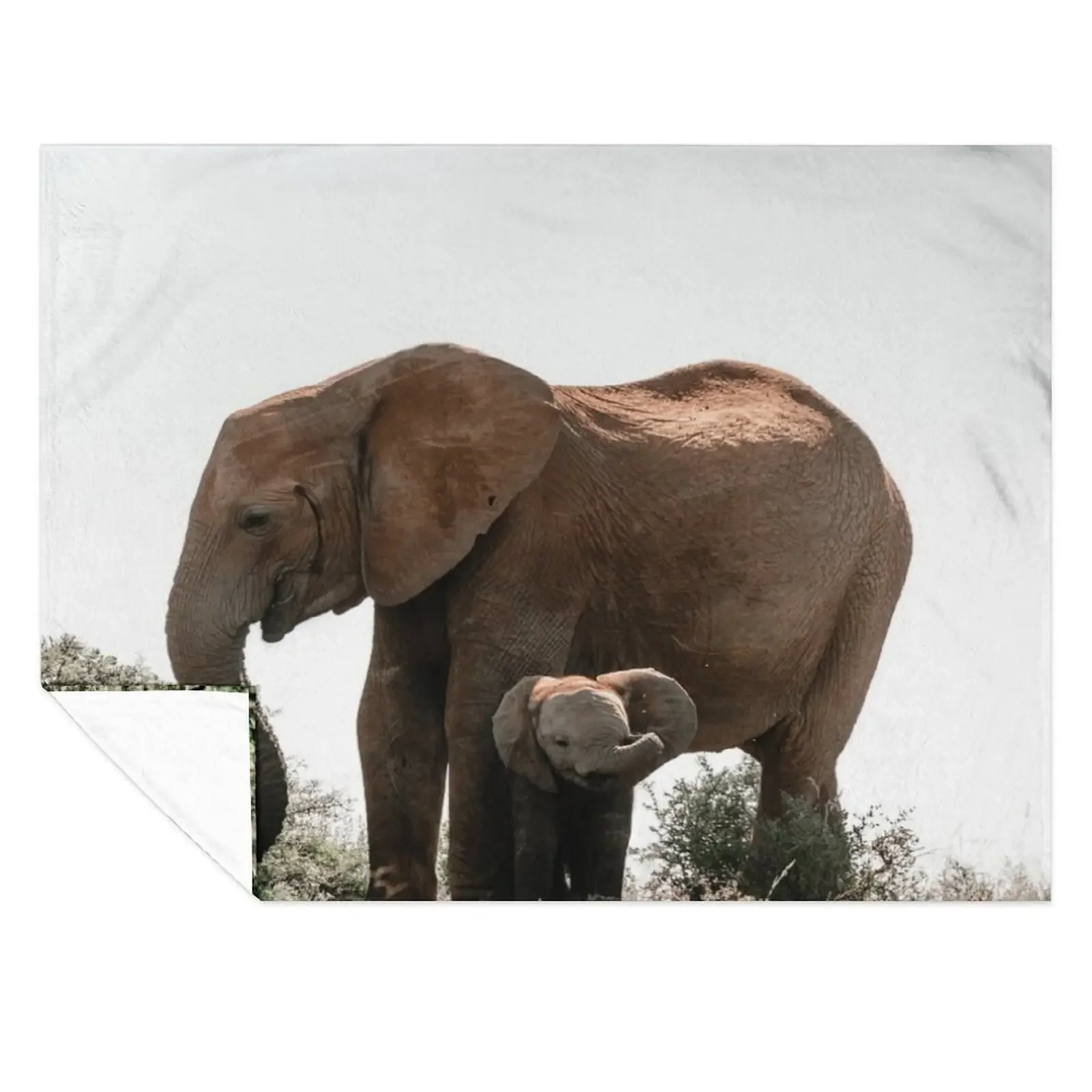 

Elephant Throw Blanket Furrys Thermal Picnic Decorative Throw Blankets