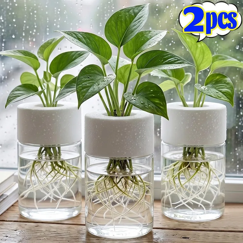 Self Watering Planter for Desktop Mini Hydroponic Pot Transparent Visible Root Growth No Soil Needed for Office Home Decoration