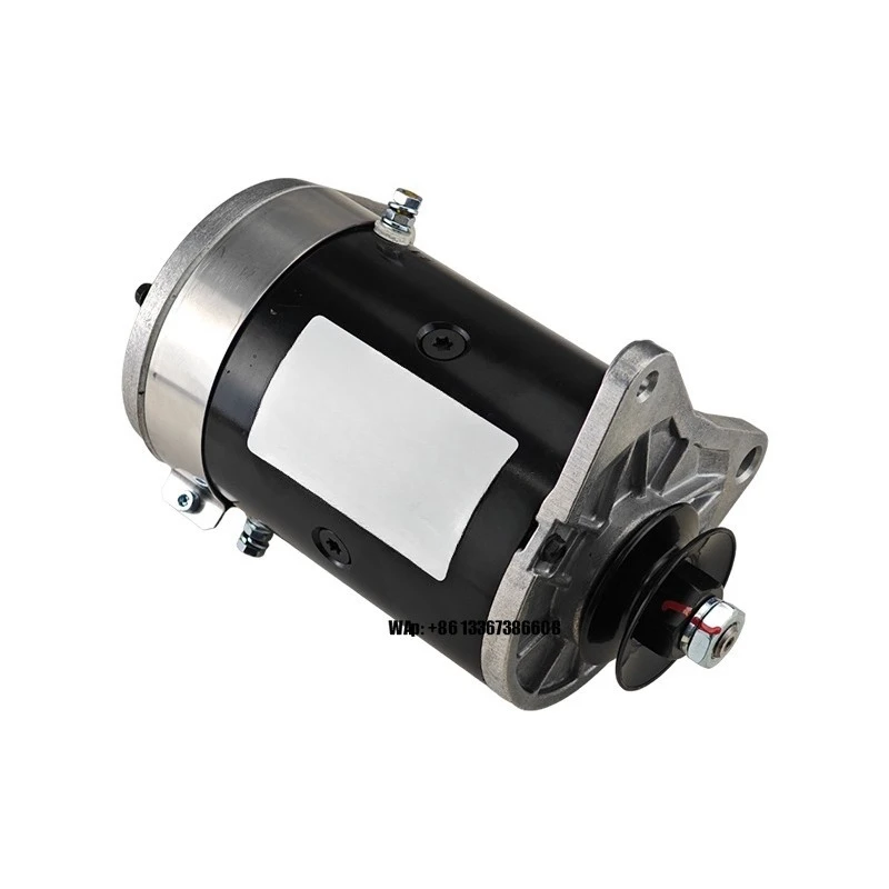 Części zamienne do silnika rozrusznika generatora w wózkach golfowych, akcesoria do pojazdów dwuosobowych z napędem benzynowym.