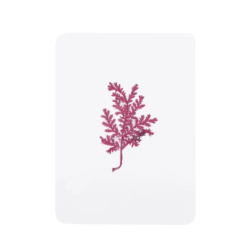 Natural Dried Flowers and Leaves Plant Fillers for Resin Jewelry Pendant Bracelet Scrapbooking DIY Arts Cards