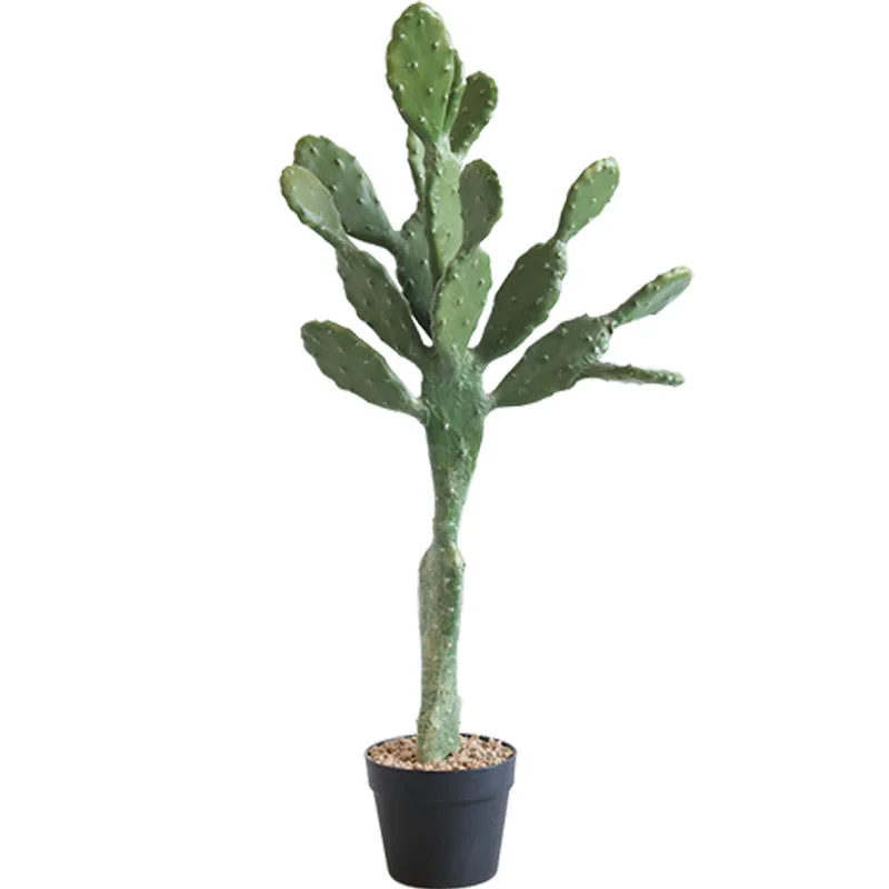 

Manufacturer wholesale sand plant landscape artificial cactus simulation leon cactus green plant potted fake plant