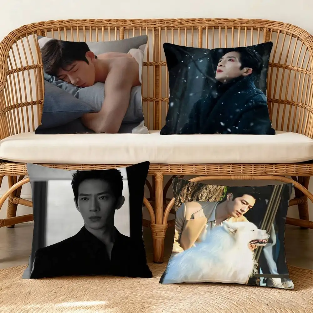 Early Spring Quiet, Jing Boran as Luan Nian Luke   Pillow Anime Pillow Sofa Bed Head Pillow Cover Cushion Cover Fashion
