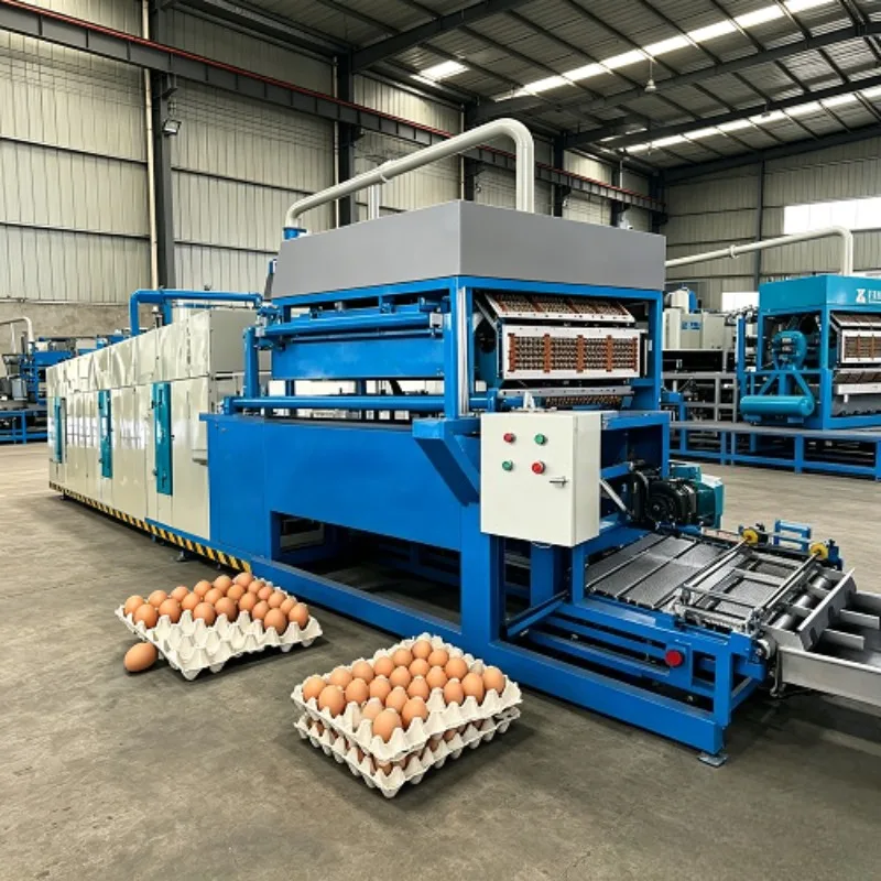 1000pcs/Hr Small Manual Paper Pulp Moulding Egg Dish Machinery Egg Tray Making Machine Pulp Egg Tray Carton Production Line