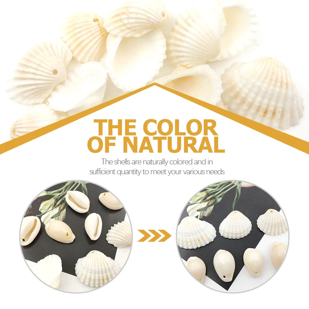 

100Pcs Natural Conch Shell Craft Accessories DIY Photo Prop Fish Tank Landscaping Decor Aquarium Shell Adornments Micro Aquarium