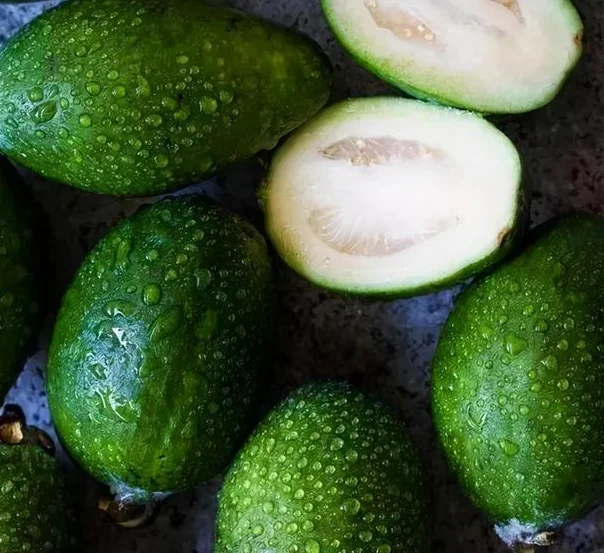 

BAYCK Nano ELRS TX Module - 915MHz/2.4GHz 1W Dual Band, Cooling Fan, Long Range for FPV Racing Drones