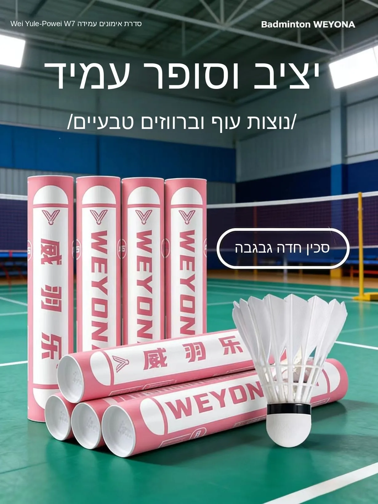 professional-grade-badminton-shuttlecocks-12pcs-stable-flight-durable-for-training-and-students-badminton-court-practice