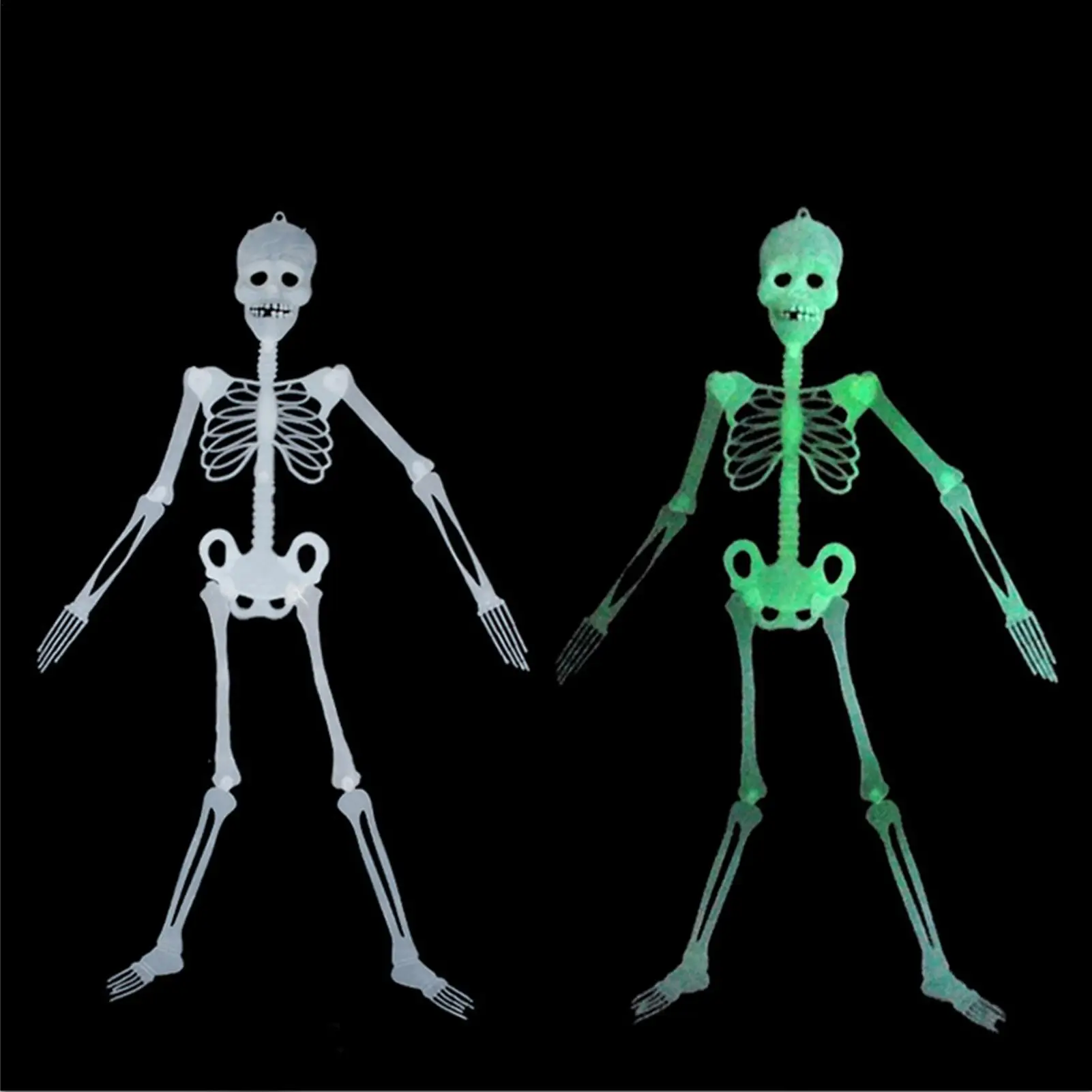 Skeletons For Hallo… - image