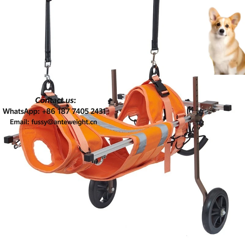 Two-Wheel Dog Support Cart for Large Breeds ,Rehabilitation & Mobility Aid for Hind Legs | Lightweight & Maneuverable