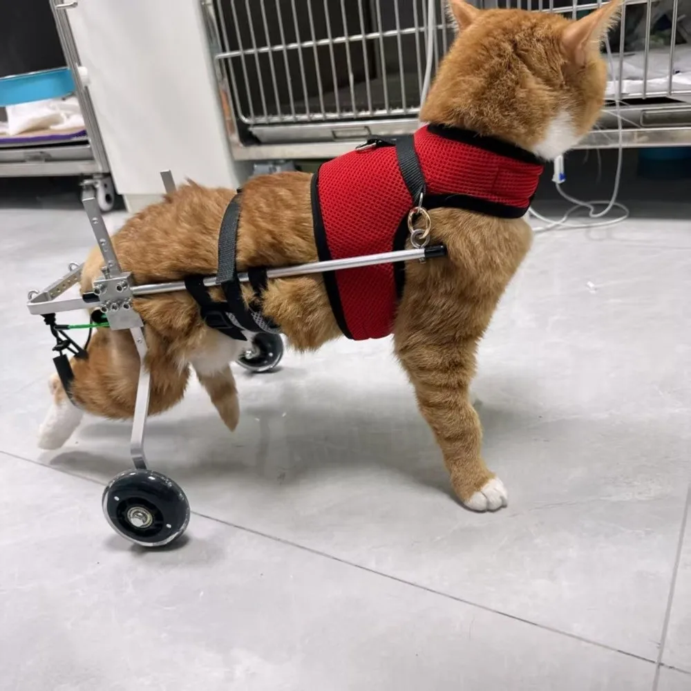 Adjustable Cat Wheelchair Breathable Harness Hind Leg Support Rehabilitation Assist Car Lightweight 2-Wheel Cat Mobility Scooter