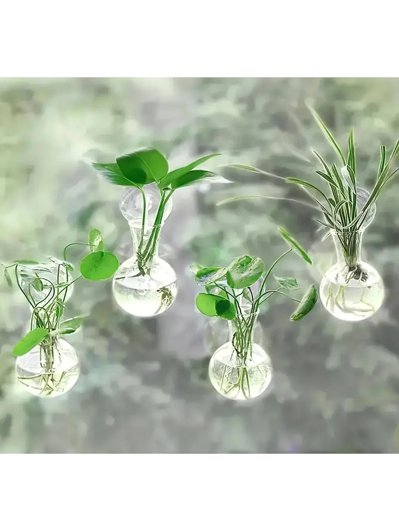 2 Mini Wall Mounted Plant Propagation Bottles. Modern Circular Hanging Vase, Used for Indoor and Outdoor Hydroponic Plants and H