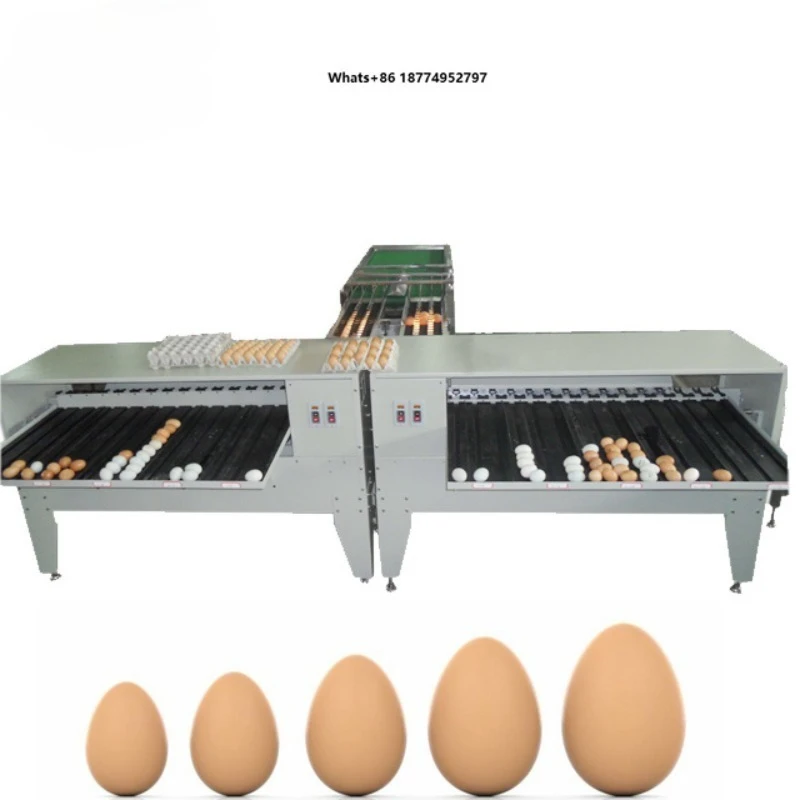 Multi-function Mini Egg Grader Washing and Sorting Machine Chicken Egg Sorting Grading Machine for Sale