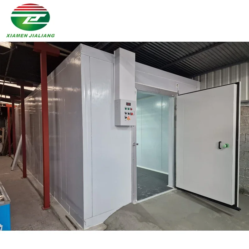 

Cold Storage Negative Cold Room Refrigeration System Cold Rooms Sale