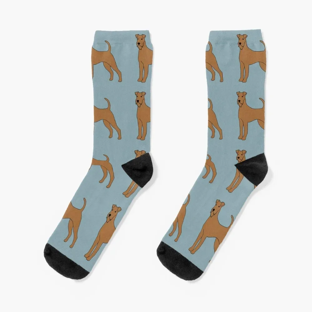 

Irish Terrier Socks crazy Running christmass gift Socks For Man Women's