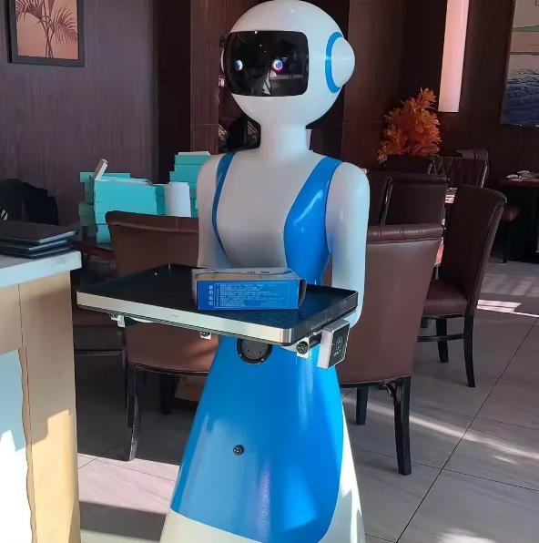 Groothandel leverancier Smart Restaurant Robot Voedsel Humanoïde Ober Robot Service