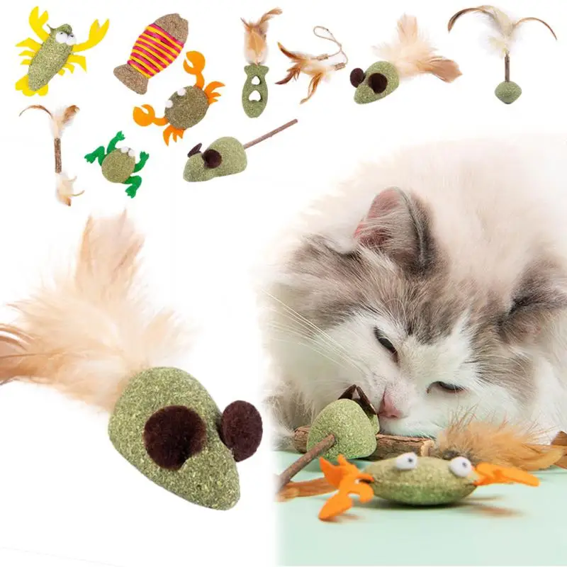 

Cat Mint Edible Catnip Ball Wooden Polygonum Catnip Cat Pet Catnip Toys Healthy Mixed Multicolor Tooth Grinding Rod Safety Toys